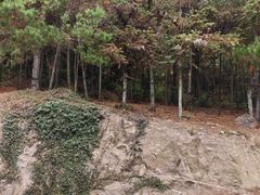 -南京市无想山景区