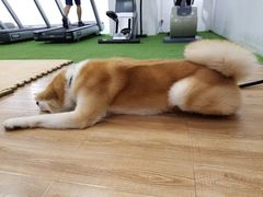 -YCHL Studios健身工作室(市二宫店)