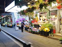 -溪岸路花鸟市场