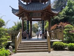 -铁山坪森林公园