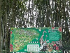 -海南热带野生动植物园