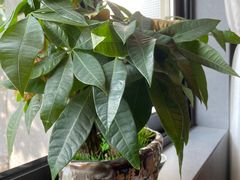 -邈墨茶馆(凤起路店)