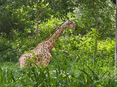 -北京野生动物园
