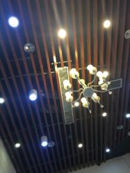 -SIX Hair Consultant