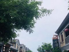 -渡海小渔村.老辈日照菜