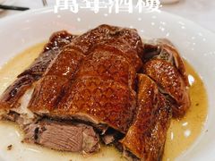 -万年酒楼(越秀南路店)
