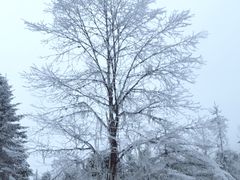-硗碛藏寨·神木垒景区