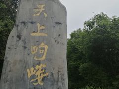 -岣嵝峰国家森林公园