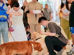 -帕帕拉兹宠物(亚洲旗舰店)