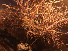 -三里河公园