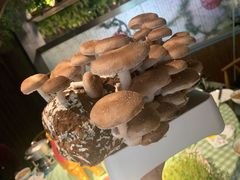 -番食园鲜食火锅(高新店)