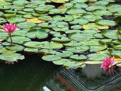 -北京颐和宾馆