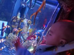 -沈阳海洋探索中心