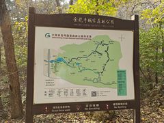 -金龙寺国家森林公园