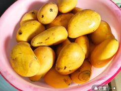 -西北农副产品中心批发市场(广安路店)