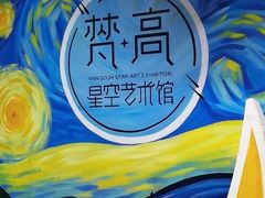 -梵高星空艺术馆(北京旗舰店)