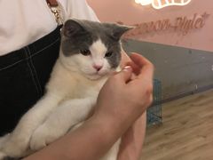 -浣熊柯尔鸭土拨鼠·电玩咖
