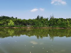 -东寨港红树林旅游区