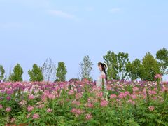 -花博汇(知音花月夜)