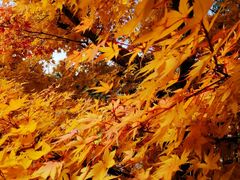 -苏州河梦清园环保主题公园