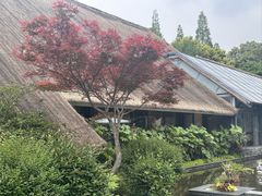 -老房子金沙元年川菜食府·花园餐厅(金沙店)
