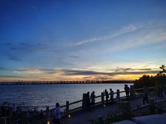 -宝安西湾红树林湿地公园