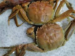 -钓鱼岛洗浴休闲会馆(卫星路店)