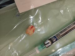 -泰康拜博口腔(凯迪大厦店)