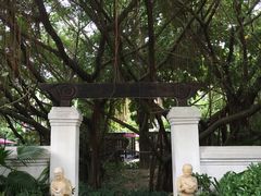 -台山颐和温泉城