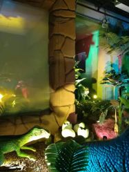 -恐龙探索乐园(磁器口店)