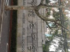 -上海市控江中学