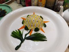 -丁老爷子苏香圆