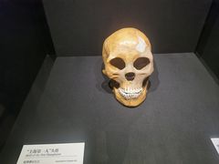 -上海崧泽遗址博物馆