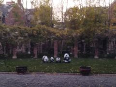 -万科霞光道5号