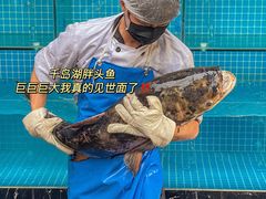 -三只耳火锅(宽窄巷子店)
