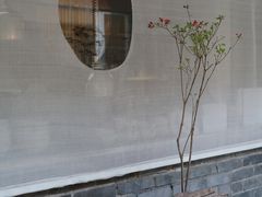 -曲廊院(东四十一条店)