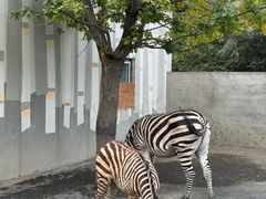 -水上乐园·欢乐世界