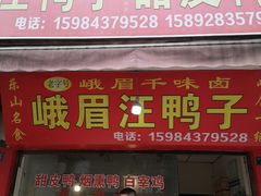 门面-峨眉汪鸭子·甜皮鸭烟熏鸭(白龙北路店)