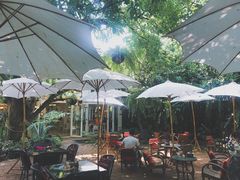 -Fern Forest Cafe
