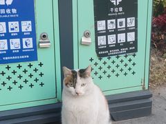 -苏州河梦清园环保主题公园