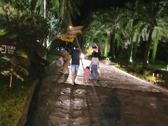 -三亚亚龙湾天域度假酒店