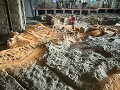 -自贡恐龙博物馆