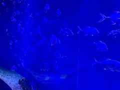 -哈尔滨波塞冬海底世界