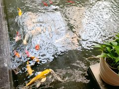 -天津海河悦榕庄·Lobby Lounge大堂吧