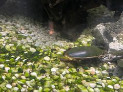 -上海大自然野生昆虫馆