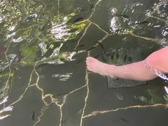 -水底山庄园温泉