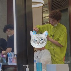 点击看大图 -AKOZO Beauty Salon