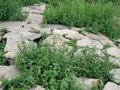-美兰湖景区