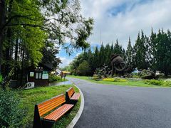 -东平国家森林公园