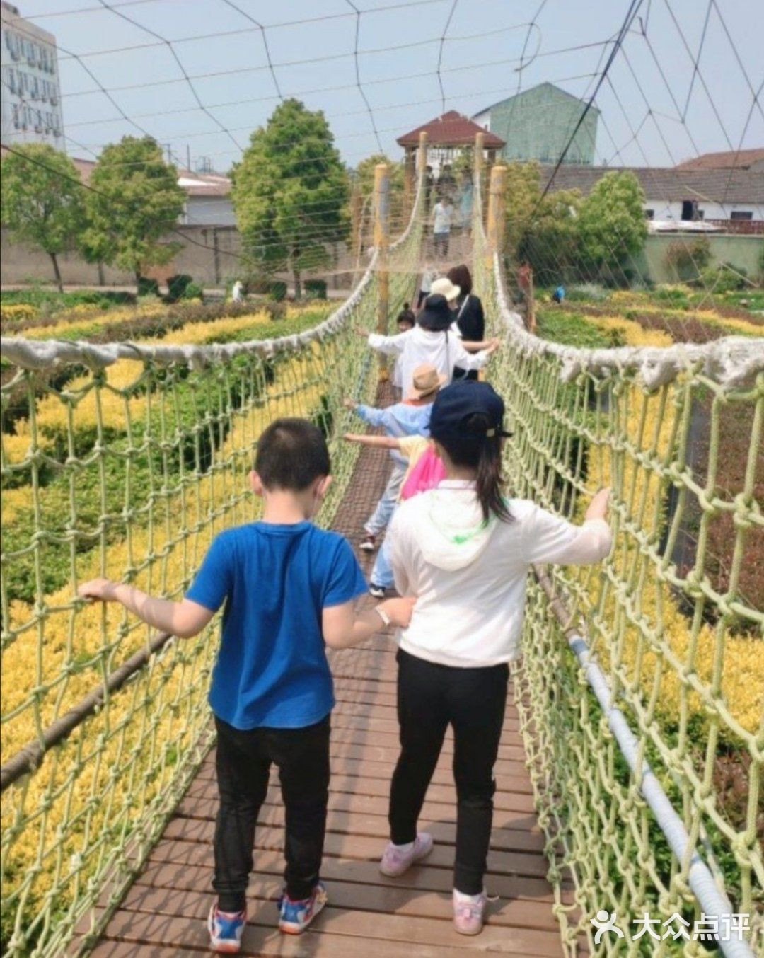 遛娃必打卡上海这家乐园，还可以和小动物互动呦[胜利]